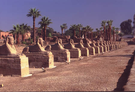20egypt0029